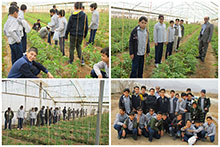 بازدید از گلخانه توسط دانش‌آموزان پایه ششم دبستان پسرانه حضرت مجتبی(ع)