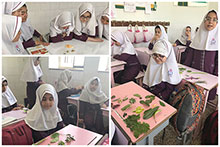 تدریس فصل گیاهان در کلاس چهارم دبستان دخترانه حضرت مجتبی(ع)
